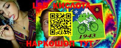 spice Дубна