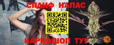spice Дубна