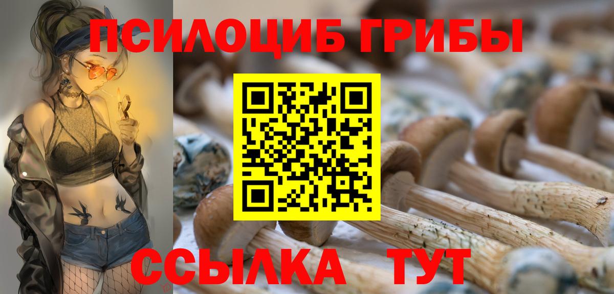 Псилоцибиновые грибы Psilocybine cubensis  Вход с VPN  Снежинск  Псилоцибиновые грибы мухоморы 
